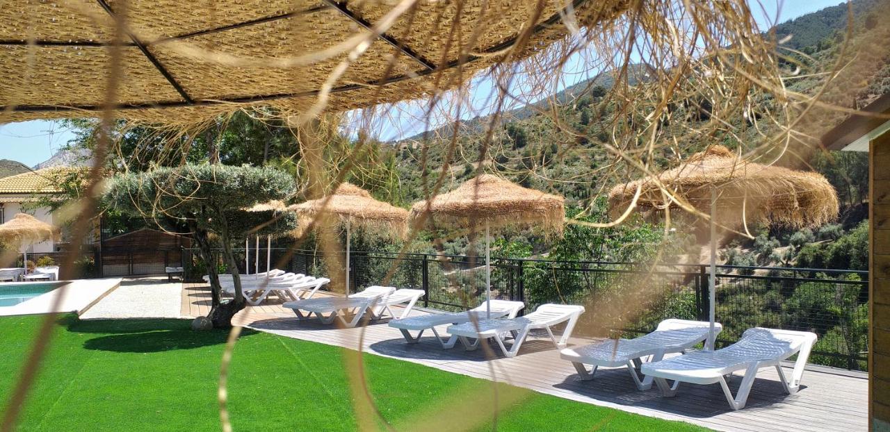 Cortijo El Cercadillo Guest House Bedmar y Garciez Bagian luar foto