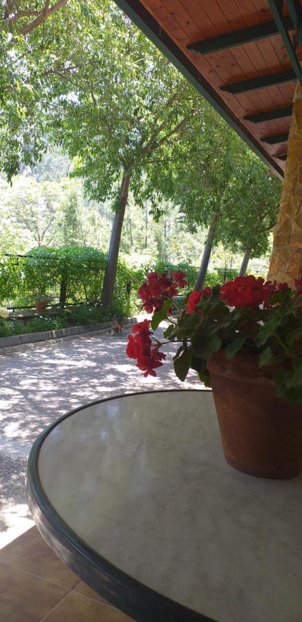 Cortijo El Cercadillo Guest House Bedmar y Garciez Bagian luar foto