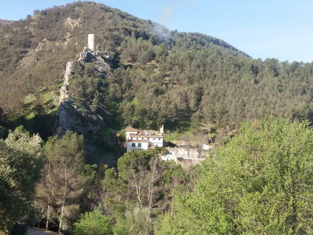 Cortijo El Cercadillo Guest House Bedmar y Garciez Bagian luar foto